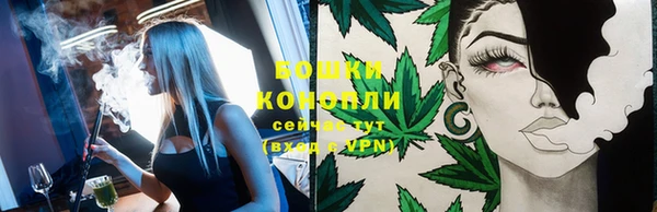 молекула духа Горнозаводск