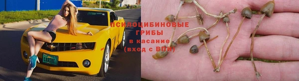 молекула духа Горнозаводск