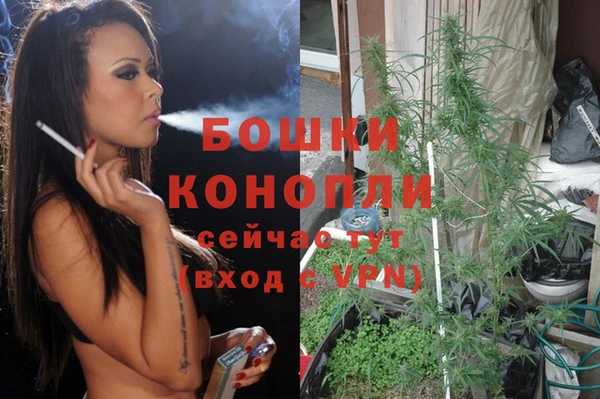 молекула духа Горнозаводск