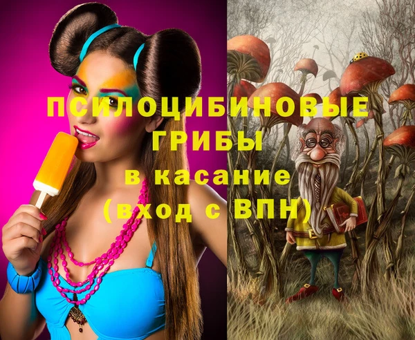 а пвп мука Горно-Алтайск